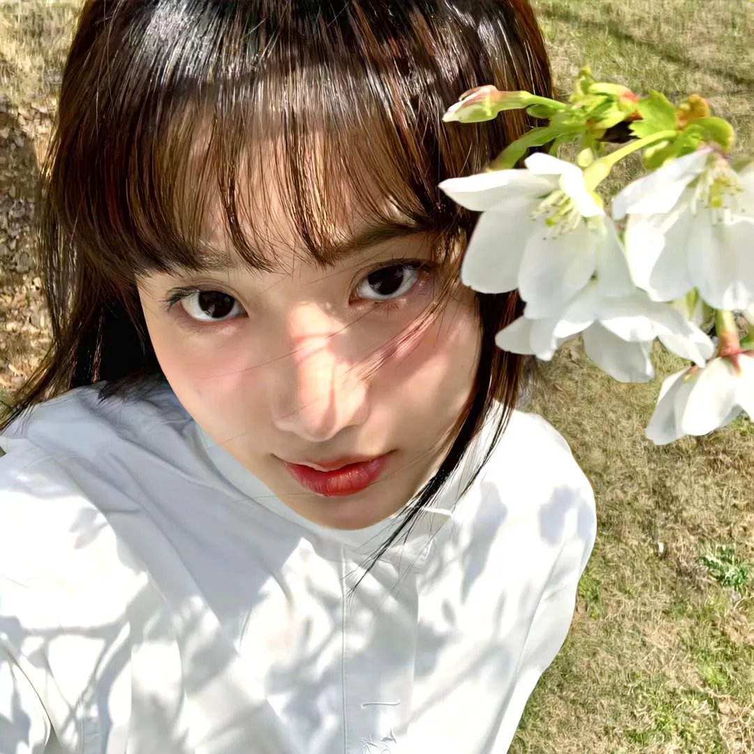 转修无情道后全宗门又后悔了